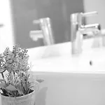 Arrizul Congress San Sebastián