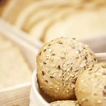 Arrizul Congress Hotel 4*