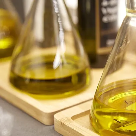 Otel Arrizul Congress