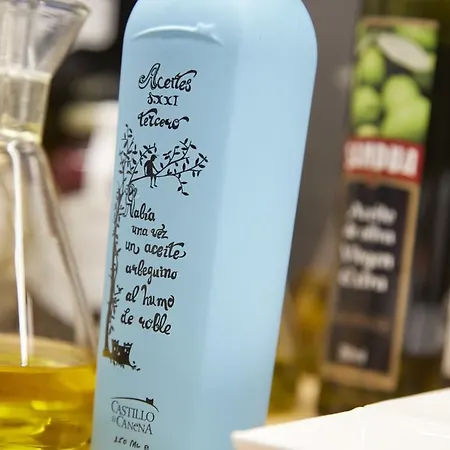 Arrizul Congress Otel 4*