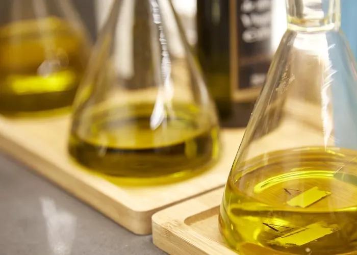 Hotel Arrizul Congress